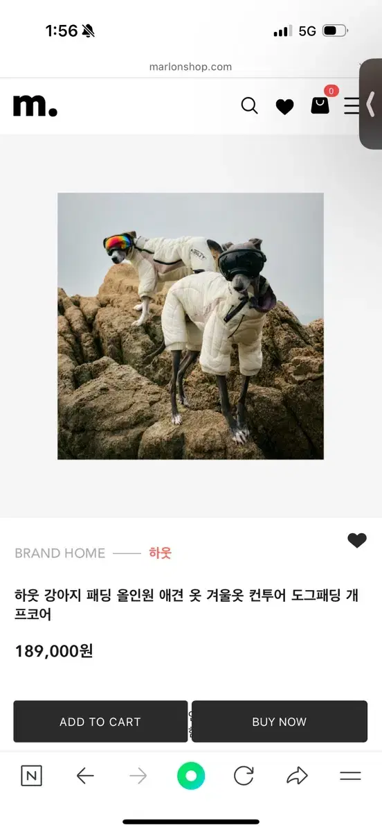 하웃 그레이하운드 패딩